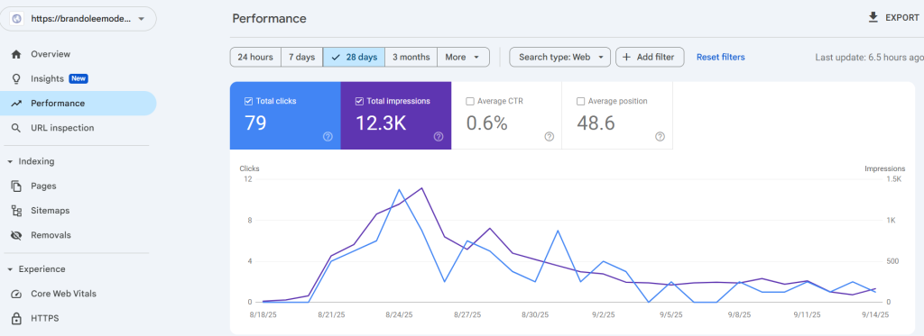 SC report of my first personal website